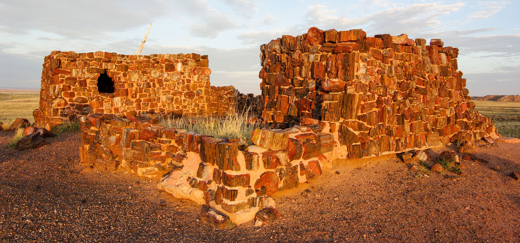 Petrified Forest NP